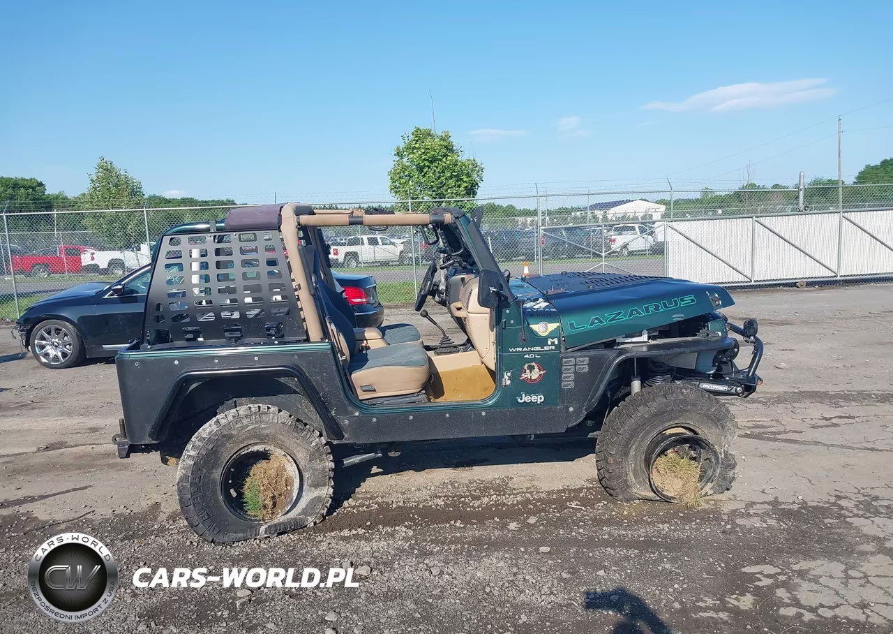 2000 Jeep Wrangler Sahara VIN:1J4FA59S2YP790701 - 14
