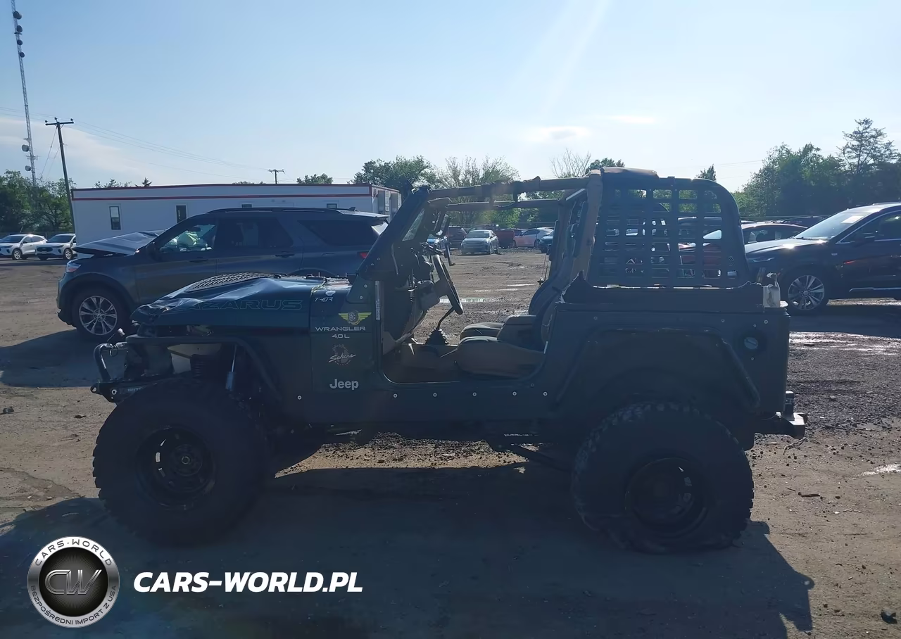 2000 Jeep Wrangler Sahara VIN:1J4FA59S2YP790701 - 15