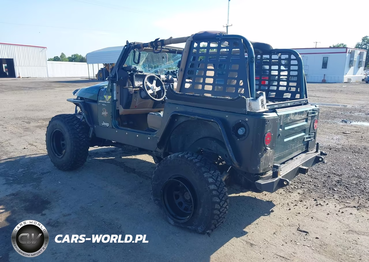 2000 Jeep Wrangler Sahara VIN:1J4FA59S2YP790701 - 3