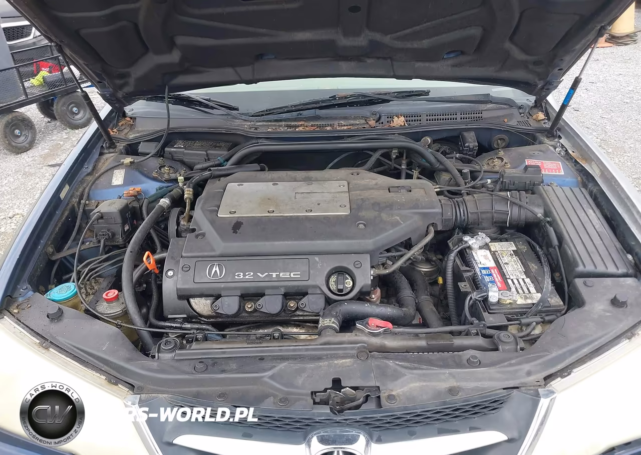 2003 Acura Tl 3.2 VIN:19UUA56683A040124 - 10