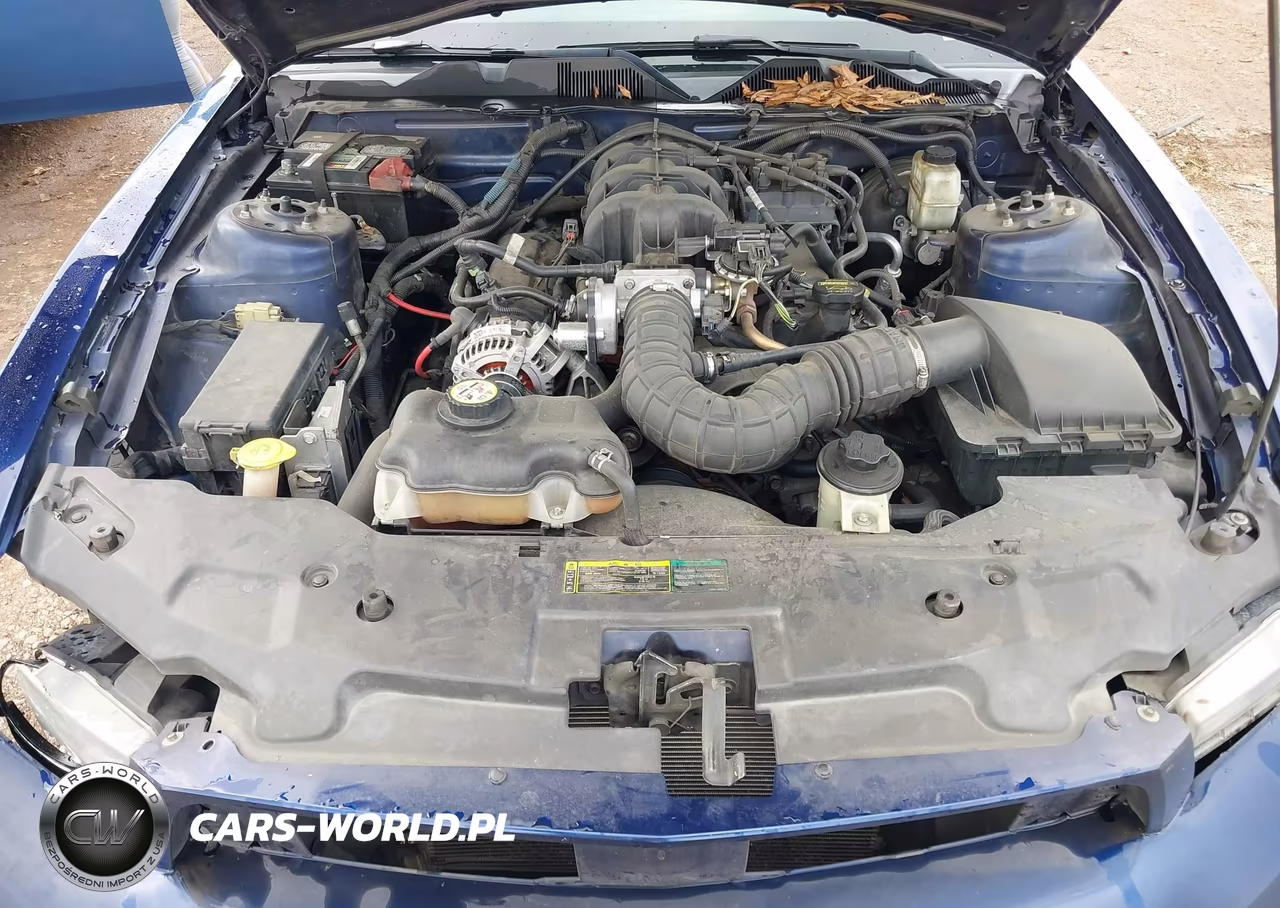 2010 Ford Mustang V6-V6 Premium VIN:1ZVBP8AN3A5108305 - 10