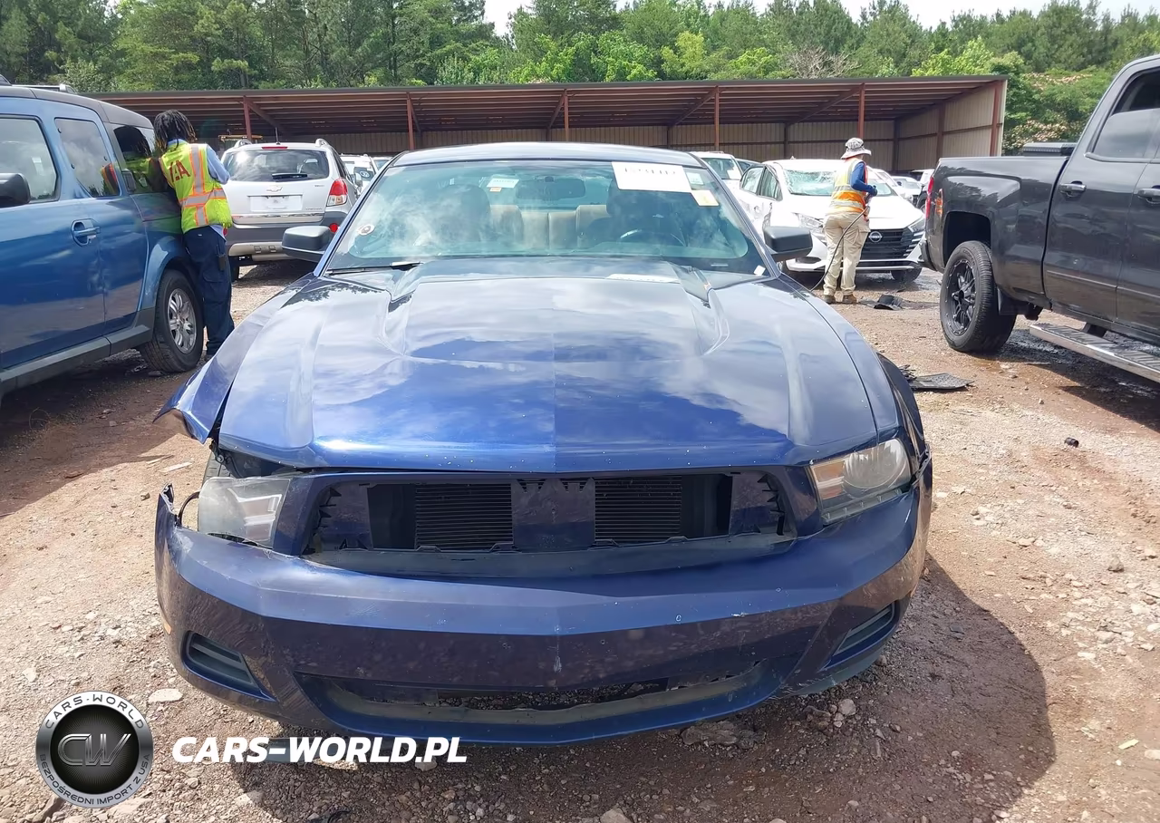 2010 Ford Mustang V6-V6 Premium VIN:1ZVBP8AN3A5108305 - 12