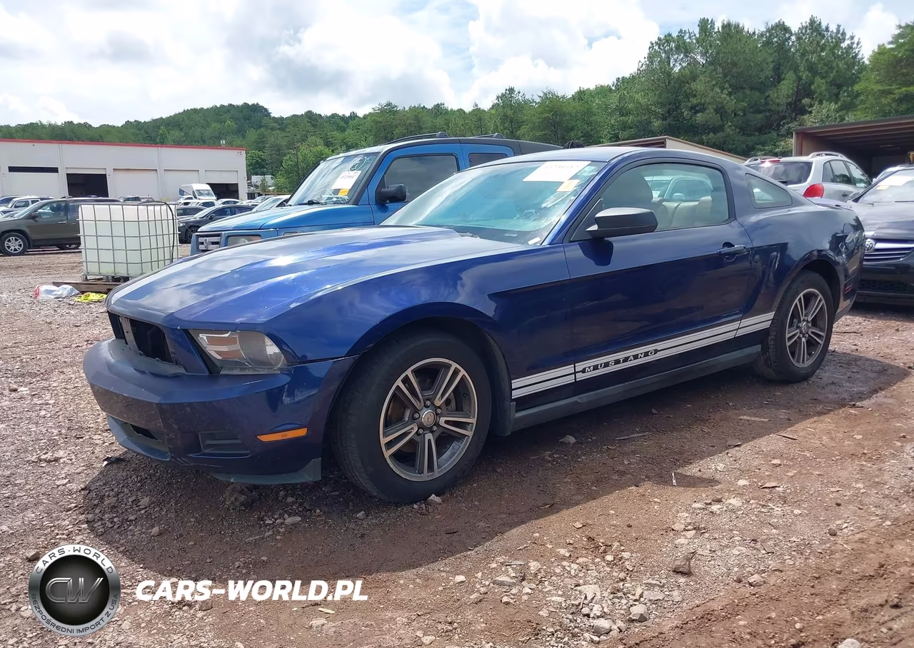 2010 Ford Mustang V6-V6 Premium VIN:1ZVBP8AN3A5108305 - 2
