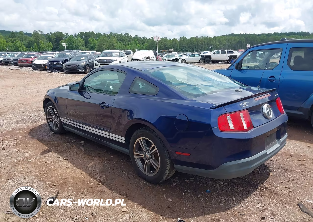 2010 Ford Mustang V6-V6 Premium VIN:1ZVBP8AN3A5108305 - 3