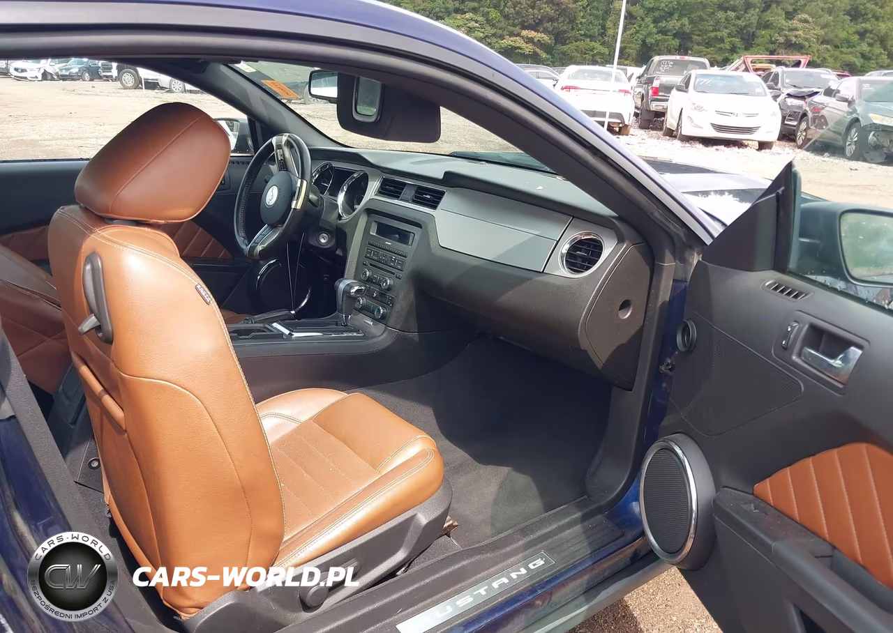 2010 Ford Mustang V6-V6 Premium VIN:1ZVBP8AN3A5108305 - 5