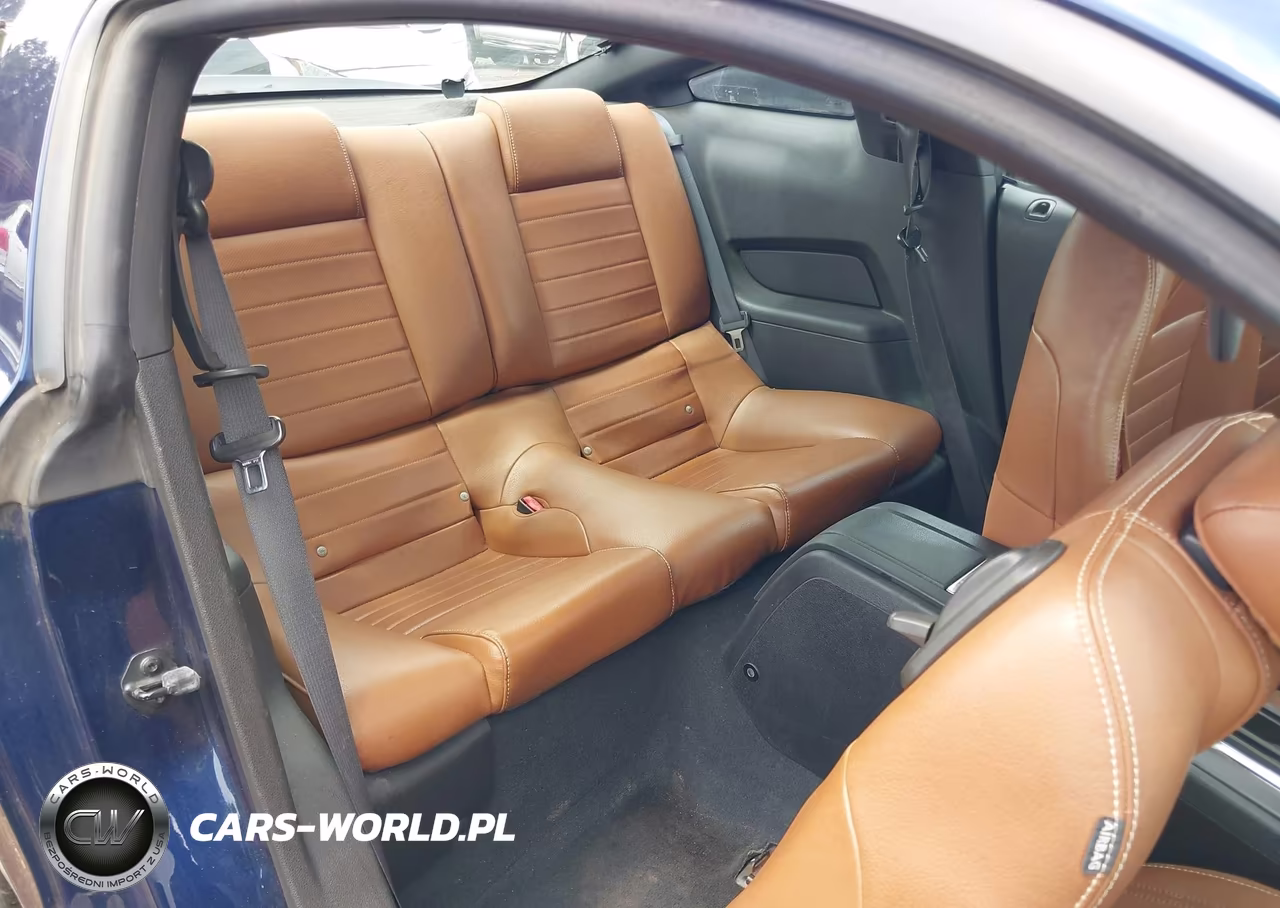 2010 Ford Mustang V6-V6 Premium VIN:1ZVBP8AN3A5108305 - 8