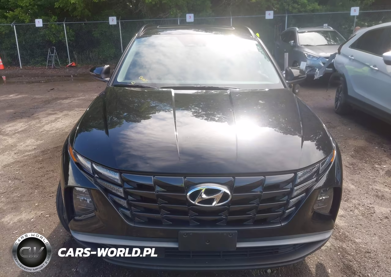 2024 Hyundai Tucson Sel VIN:5NMJFCDE3RH341996 - 12
