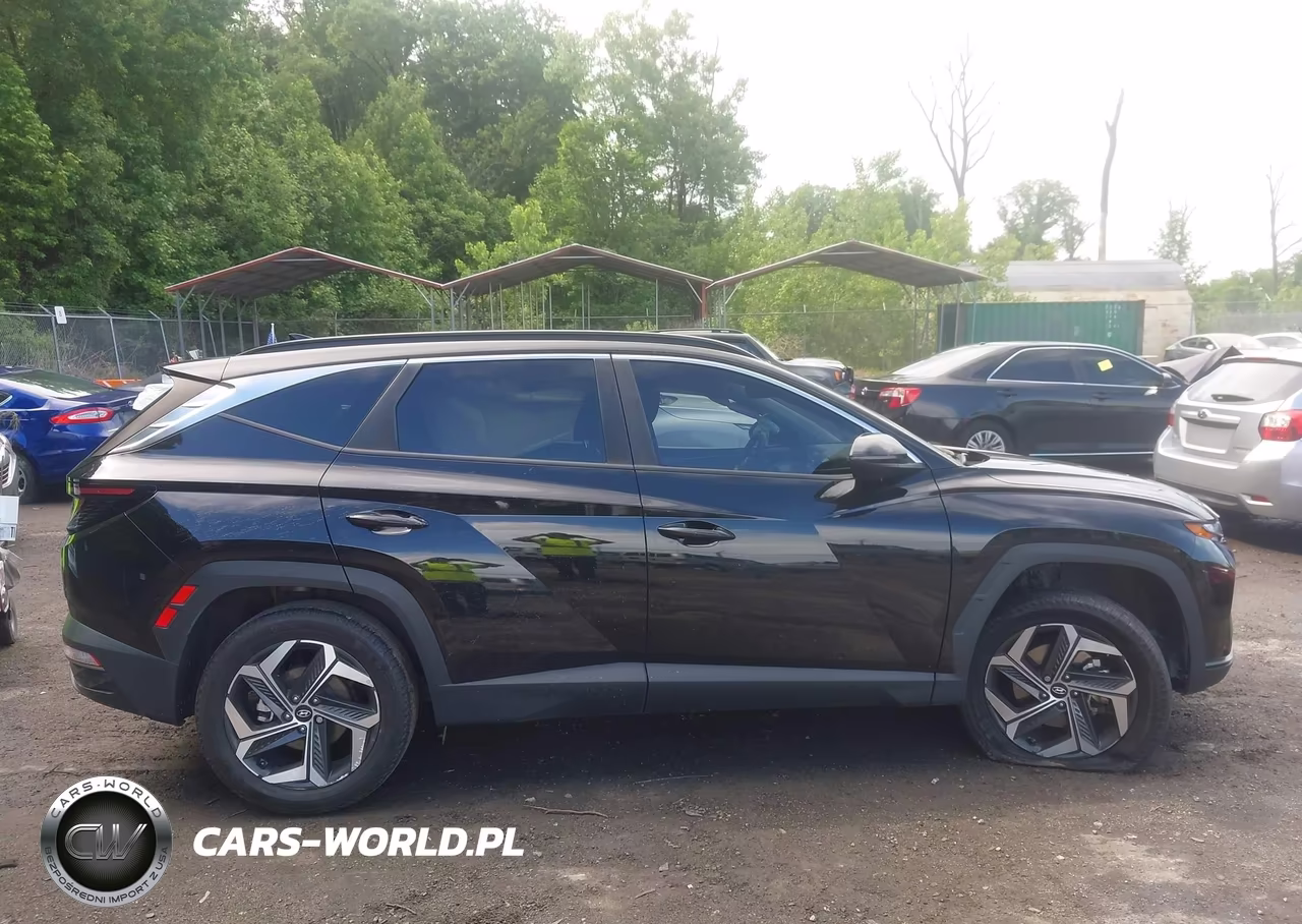 2024 Hyundai Tucson Sel VIN:5NMJFCDE3RH341996 - 13