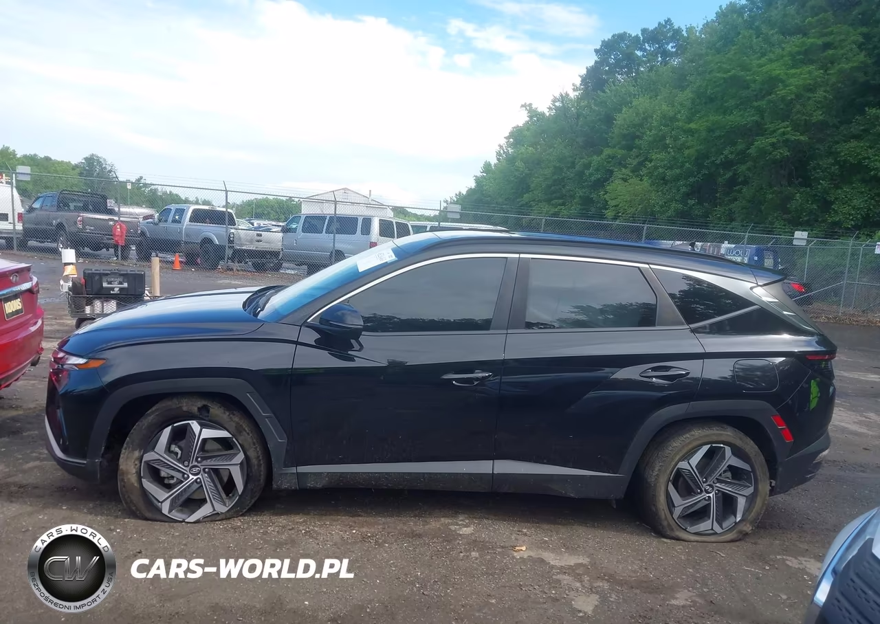 2024 Hyundai Tucson Sel VIN:5NMJFCDE3RH341996 - 14