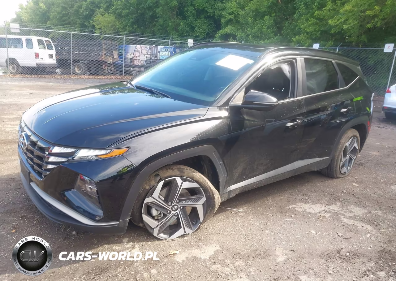 2024 Hyundai Tucson Sel VIN:5NMJFCDE3RH341996 - 2