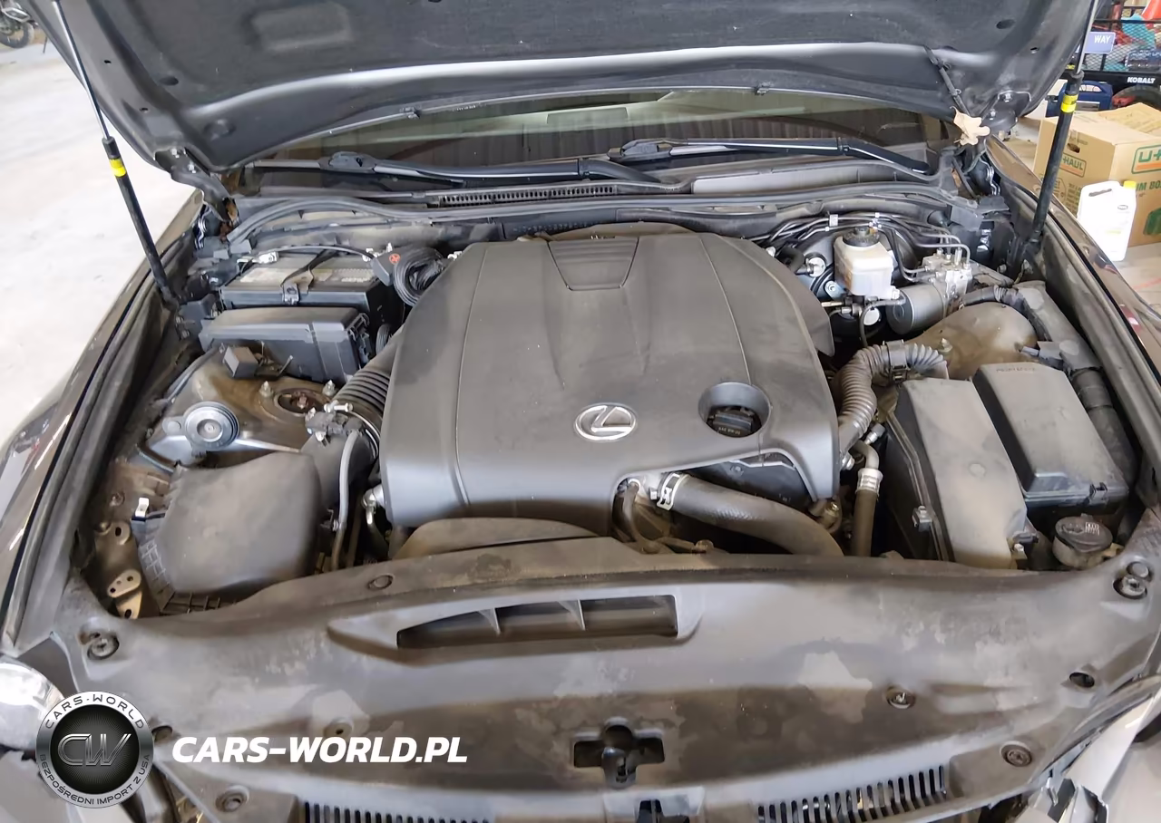 2015 Lexus Is 250 VIN:JTHBF1D23F5045744 - 10