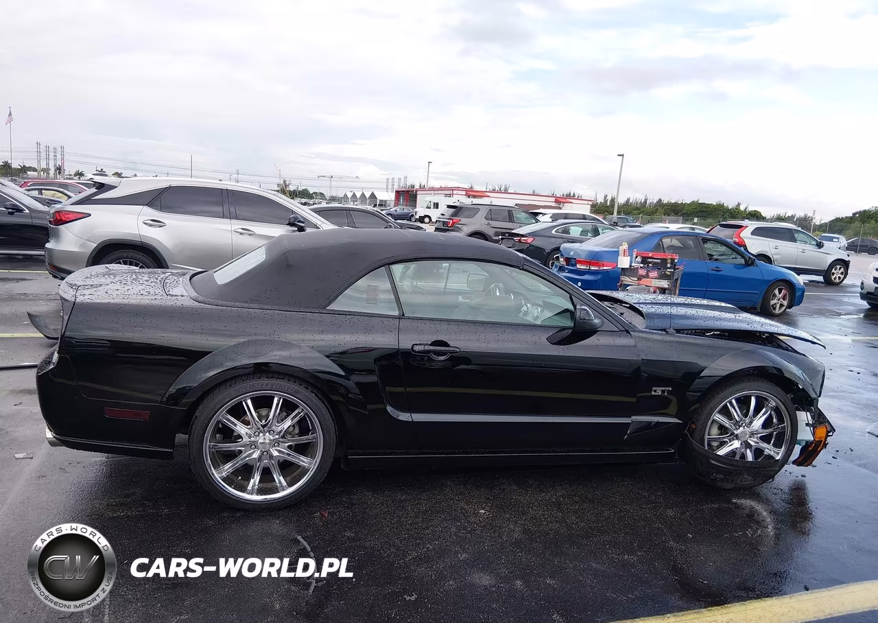 2006 Ford Mustang Gt VIN:1ZVFT85H365234284 - 14