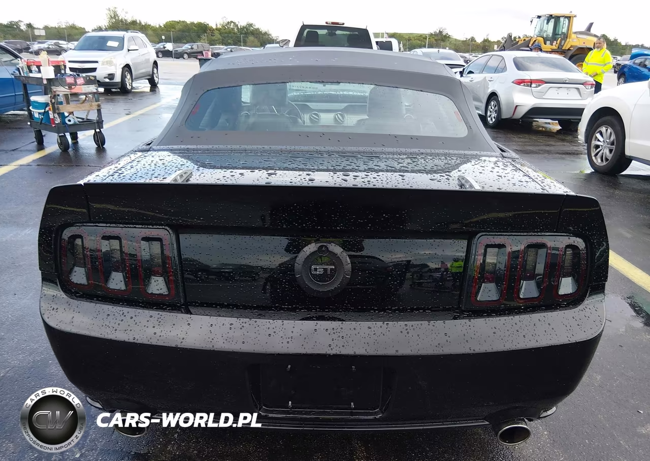 2006 Ford Mustang Gt VIN:1ZVFT85H365234284 - 17