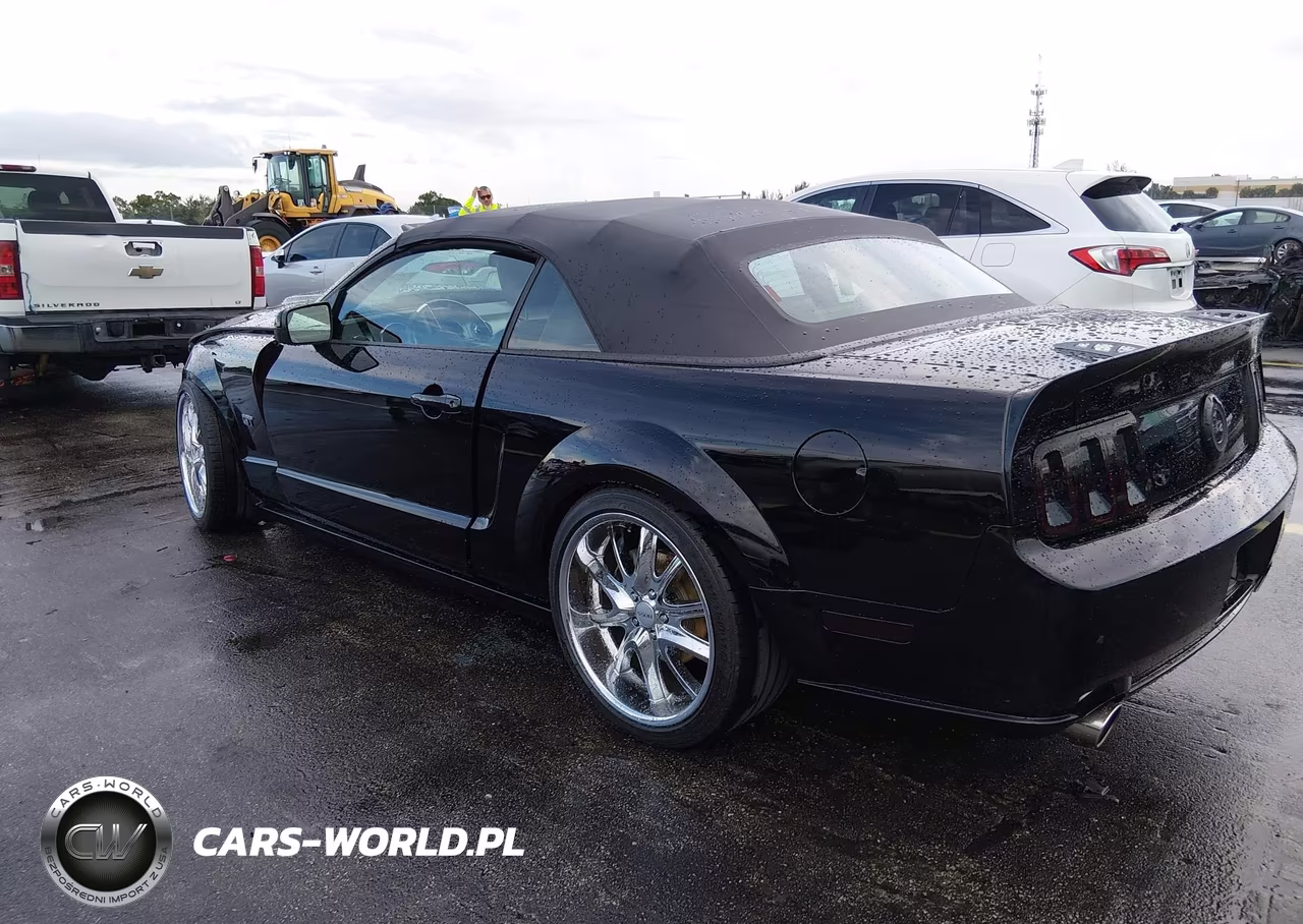 2006 Ford Mustang Gt VIN:1ZVFT85H365234284 - 3