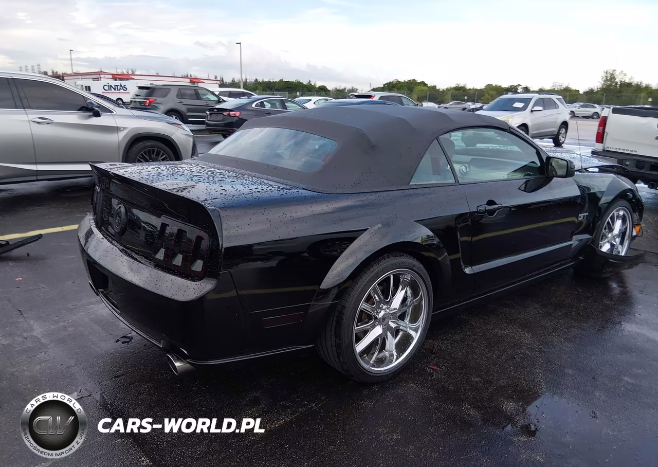 2006 Ford Mustang Gt VIN:1ZVFT85H365234284 - 4