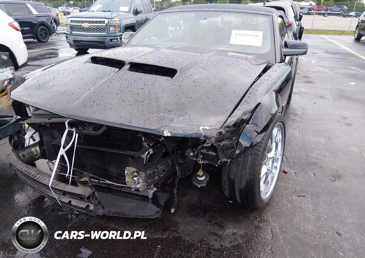 2006 Ford Mustang Gt VIN:1ZVFT85H365234284 - 6