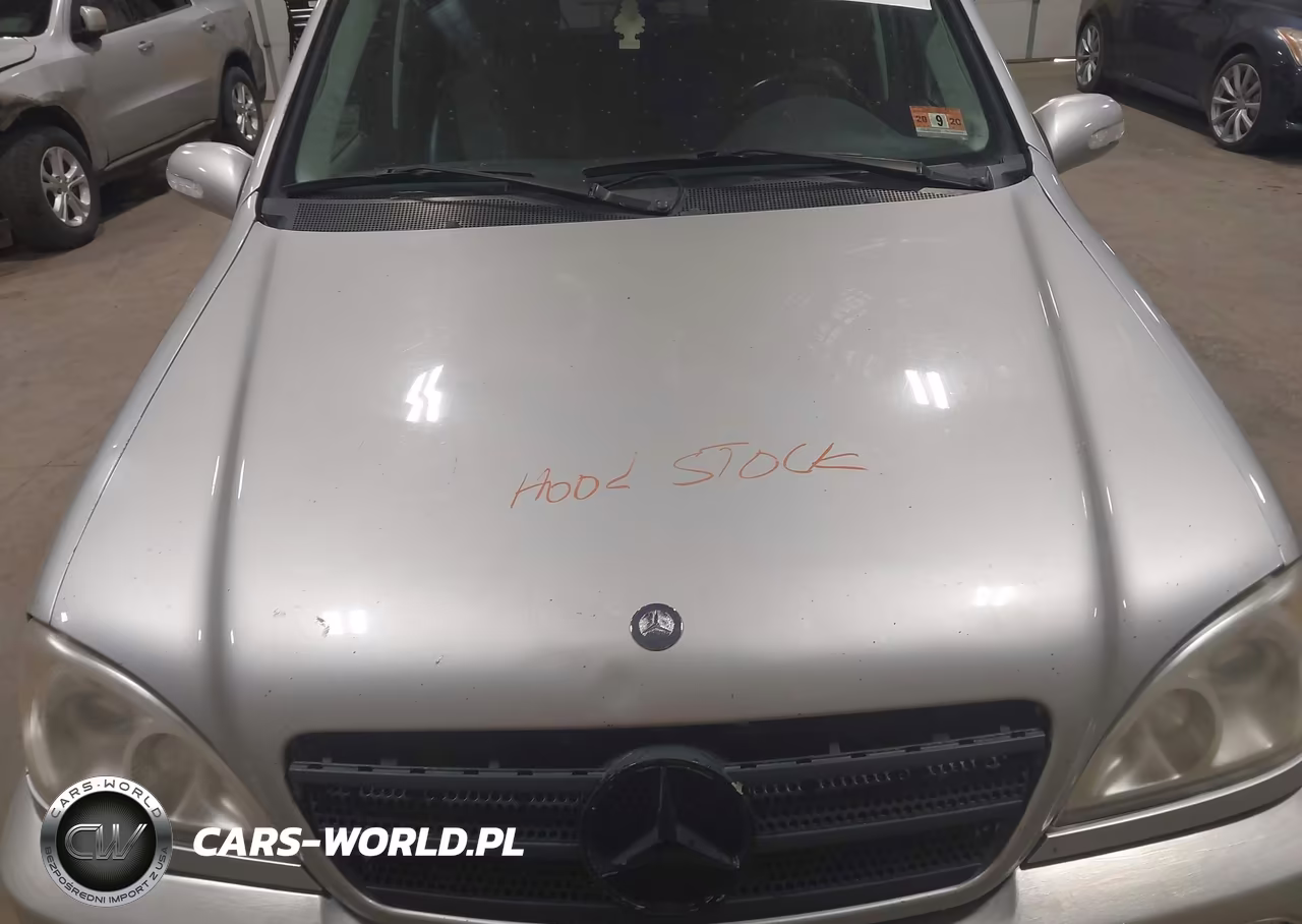 2002 Mercedes-Benz Ml 320 VIN:4JGAB54E92A326079 - 10
