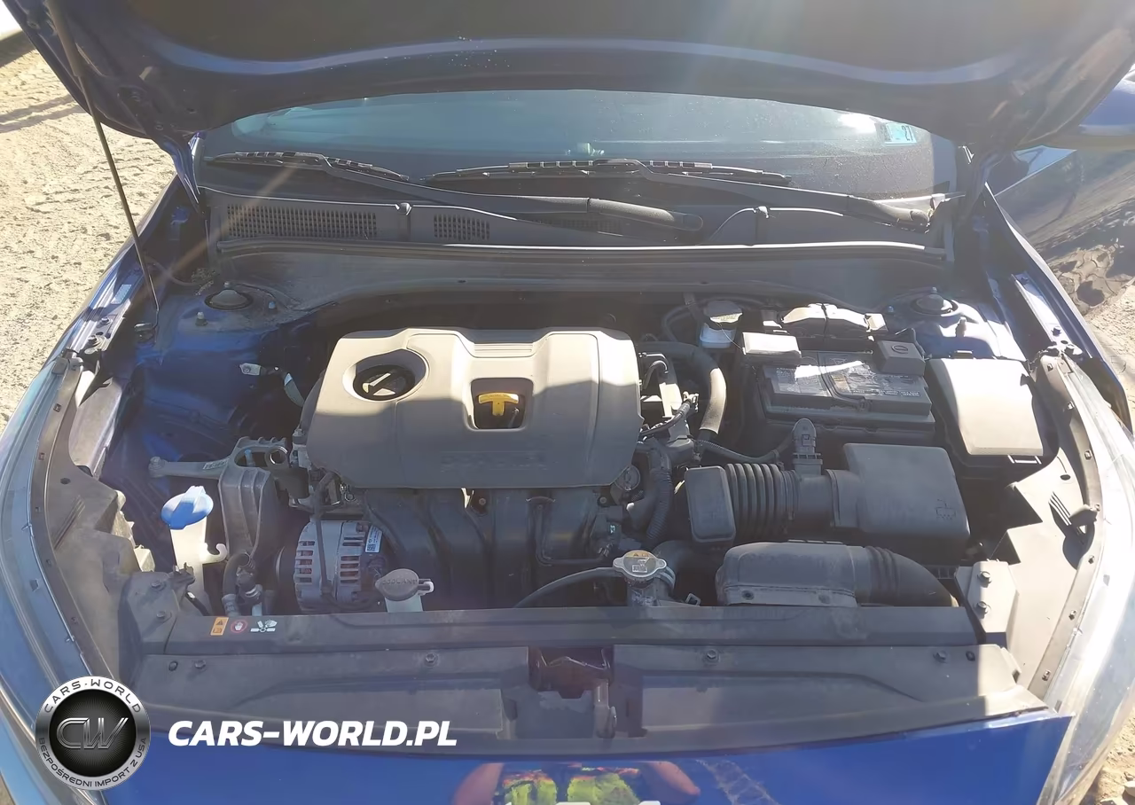 2023 Kia Forte Lxs VIN:3KPF24AD5PE519690 - 10