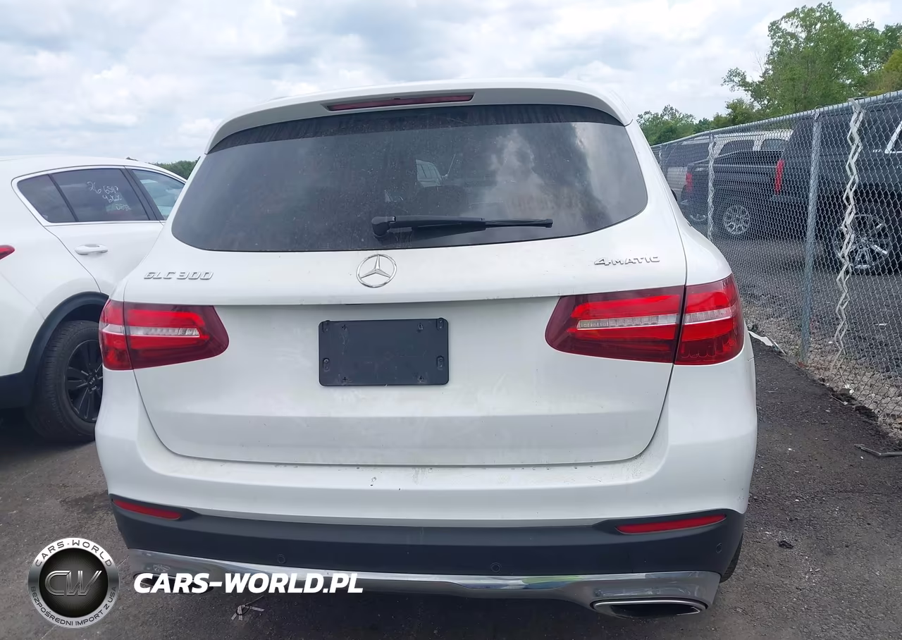 2019 Mercedes-Benz Glc 300 4Matic VIN:WDC0G4KB1KV167663 - 16