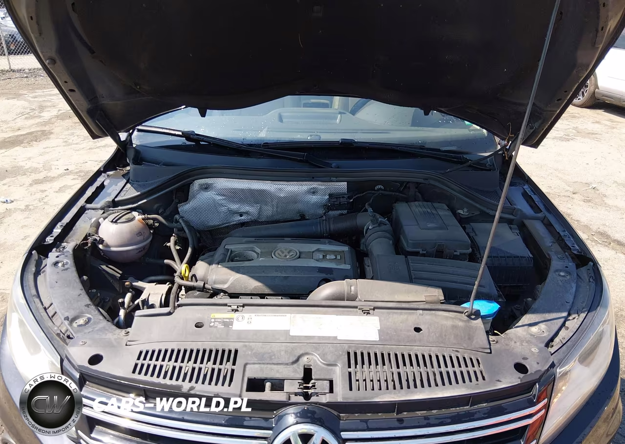 2014 Volkswagen Tiguan Sel VIN:WVGBV3AX7EW549282 - 10