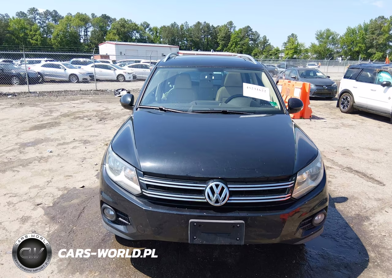 2014 Volkswagen Tiguan Sel VIN:WVGBV3AX7EW549282 - 12