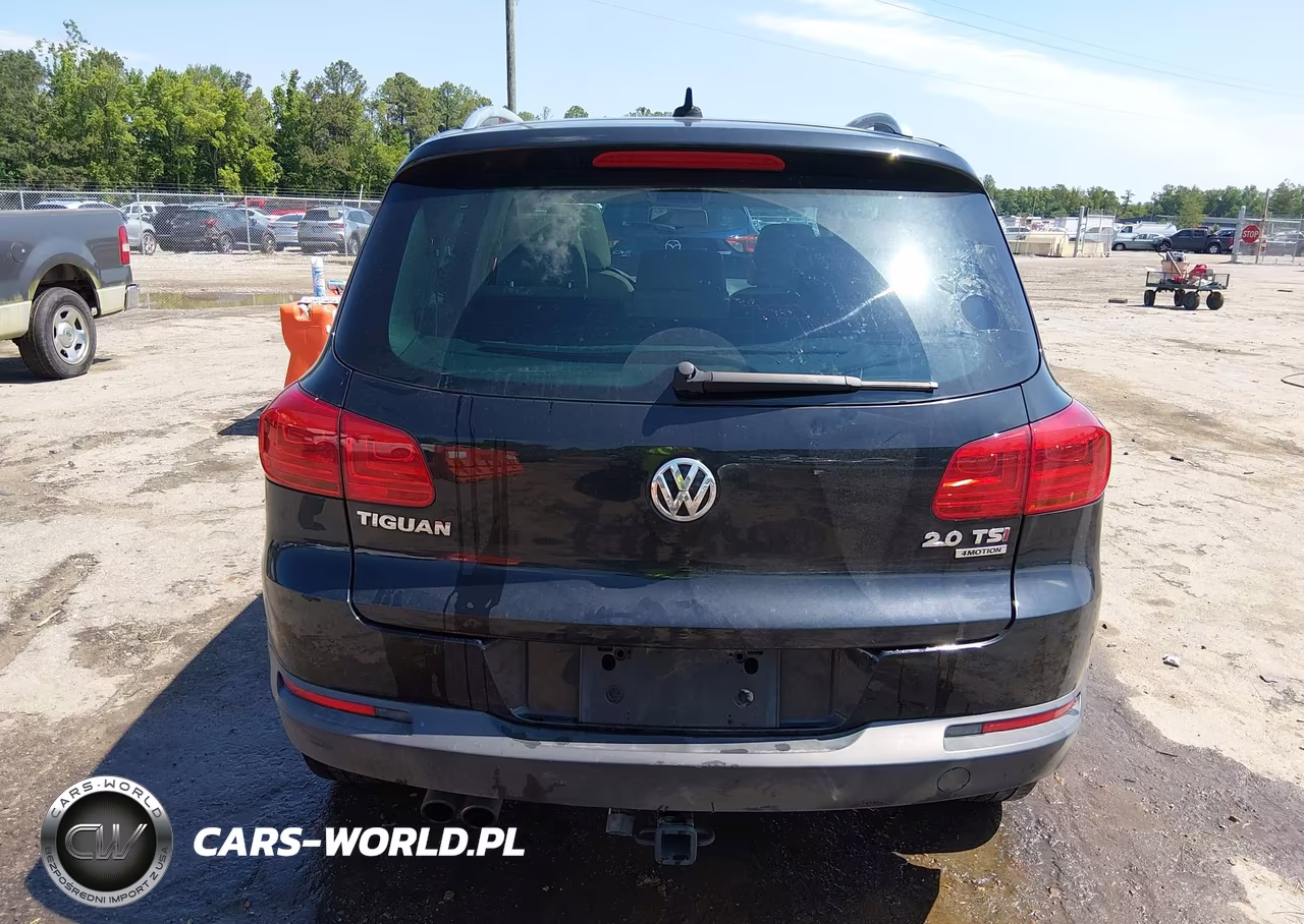 2014 Volkswagen Tiguan Sel VIN:WVGBV3AX7EW549282 - 16