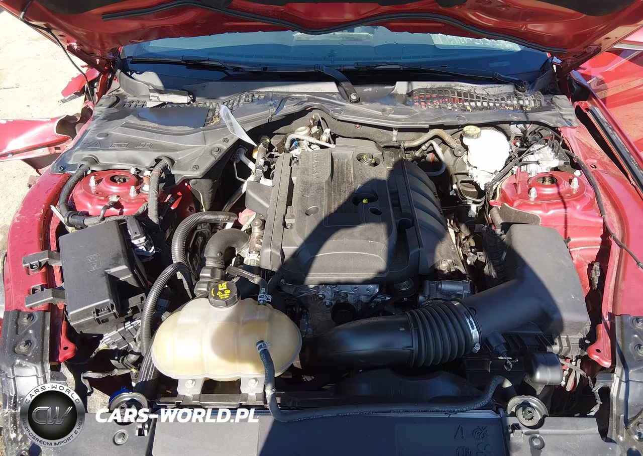 2020 Ford Mustang Ecoboost Fastback VIN:1FA6P8TH5L5126809 - 10
