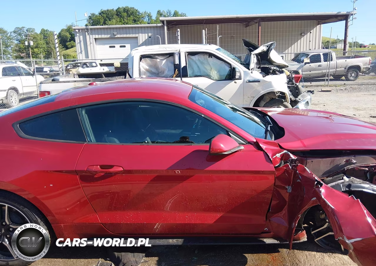 2020 Ford Mustang Ecoboost Fastback VIN:1FA6P8TH5L5126809 - 14
