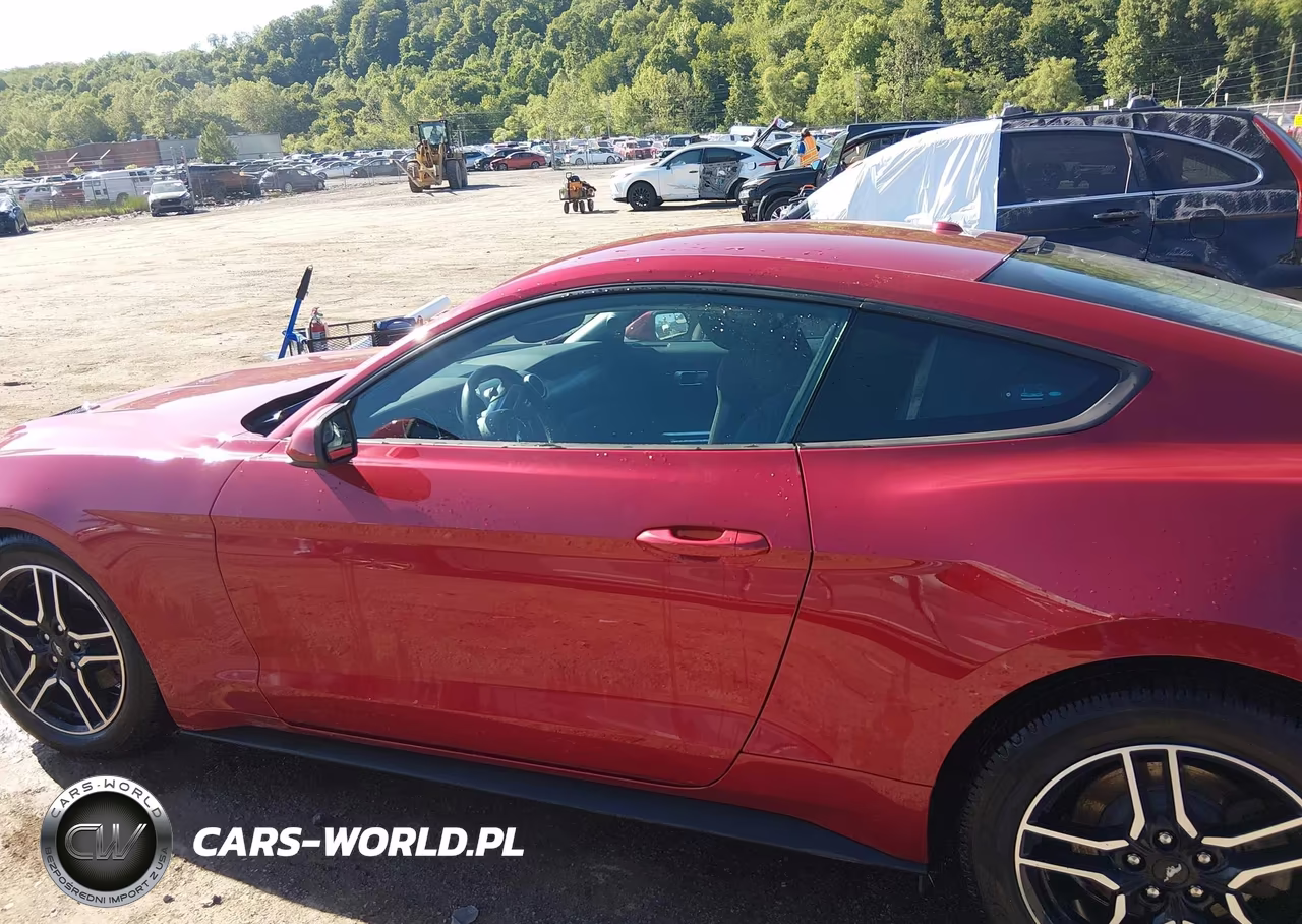2020 Ford Mustang Ecoboost Fastback VIN:1FA6P8TH5L5126809 - 15