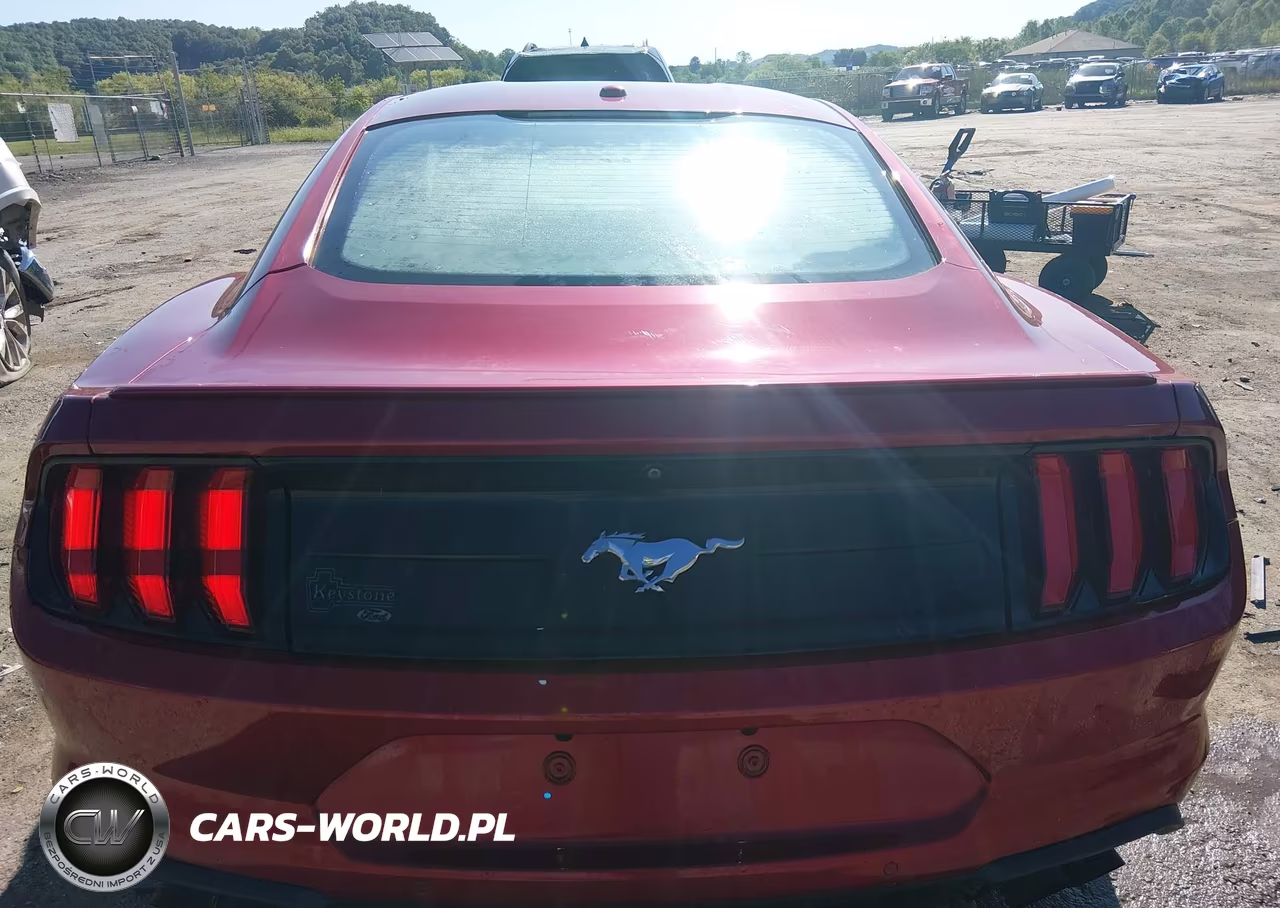 2020 Ford Mustang Ecoboost Fastback VIN:1FA6P8TH5L5126809 - 17