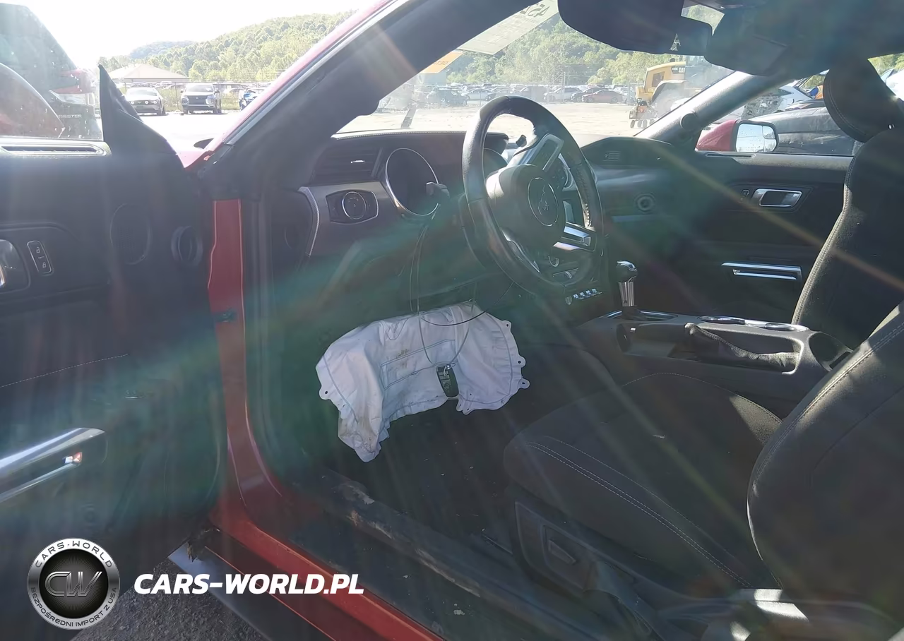 2020 Ford Mustang Ecoboost Fastback VIN:1FA6P8TH5L5126809 - 18
