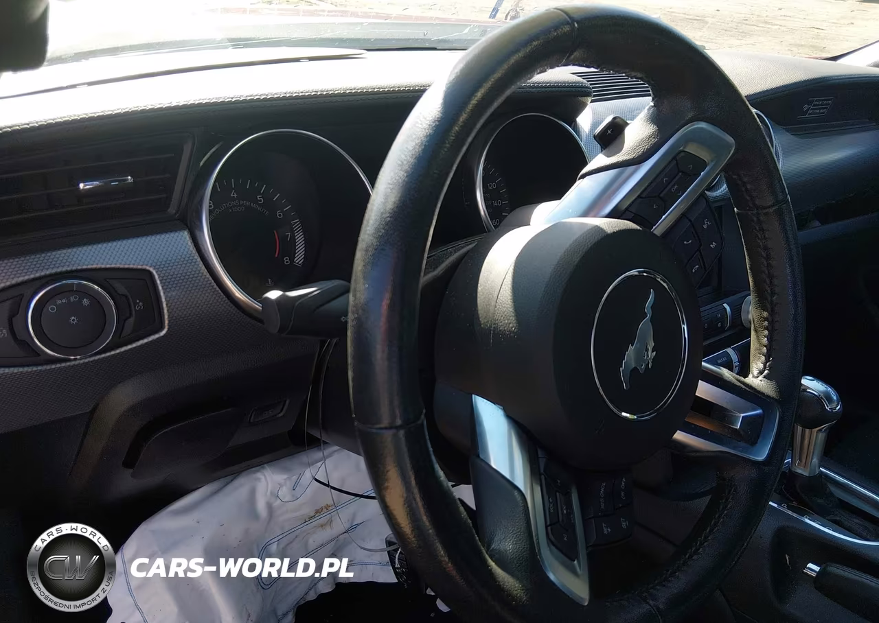 2020 Ford Mustang Ecoboost Fastback VIN:1FA6P8TH5L5126809 - 19