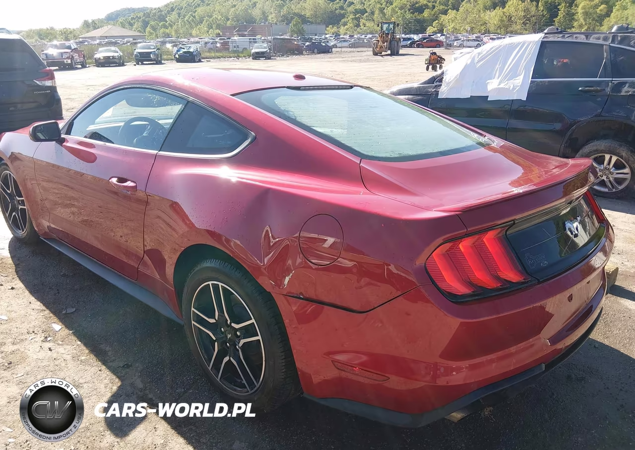 2020 Ford Mustang Ecoboost Fastback VIN:1FA6P8TH5L5126809 - 3