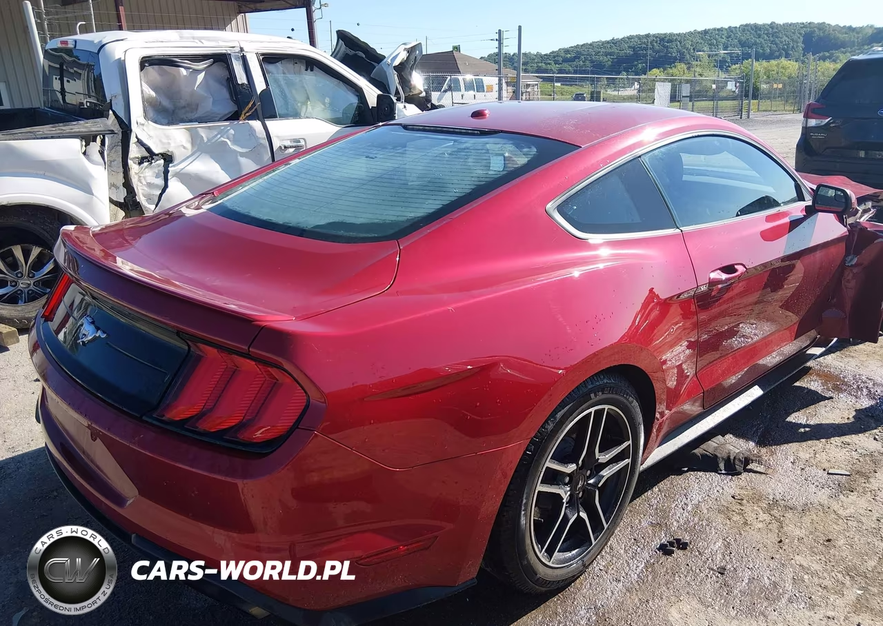 2020 Ford Mustang Ecoboost Fastback VIN:1FA6P8TH5L5126809 - 4