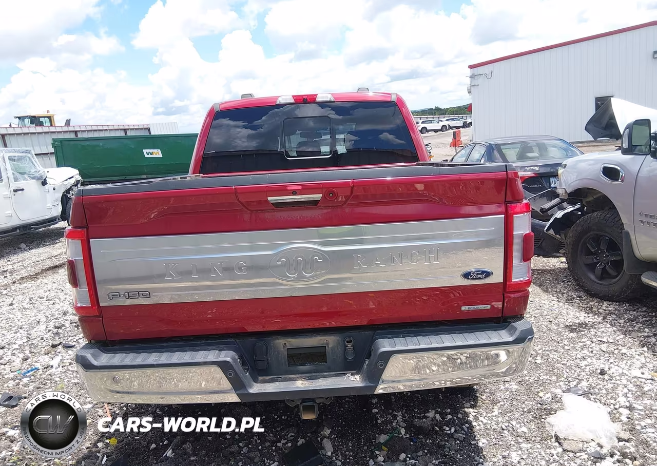 2023 Ford F-150 King Ranch VIN:1FTFW1E86PFA58425 - 16