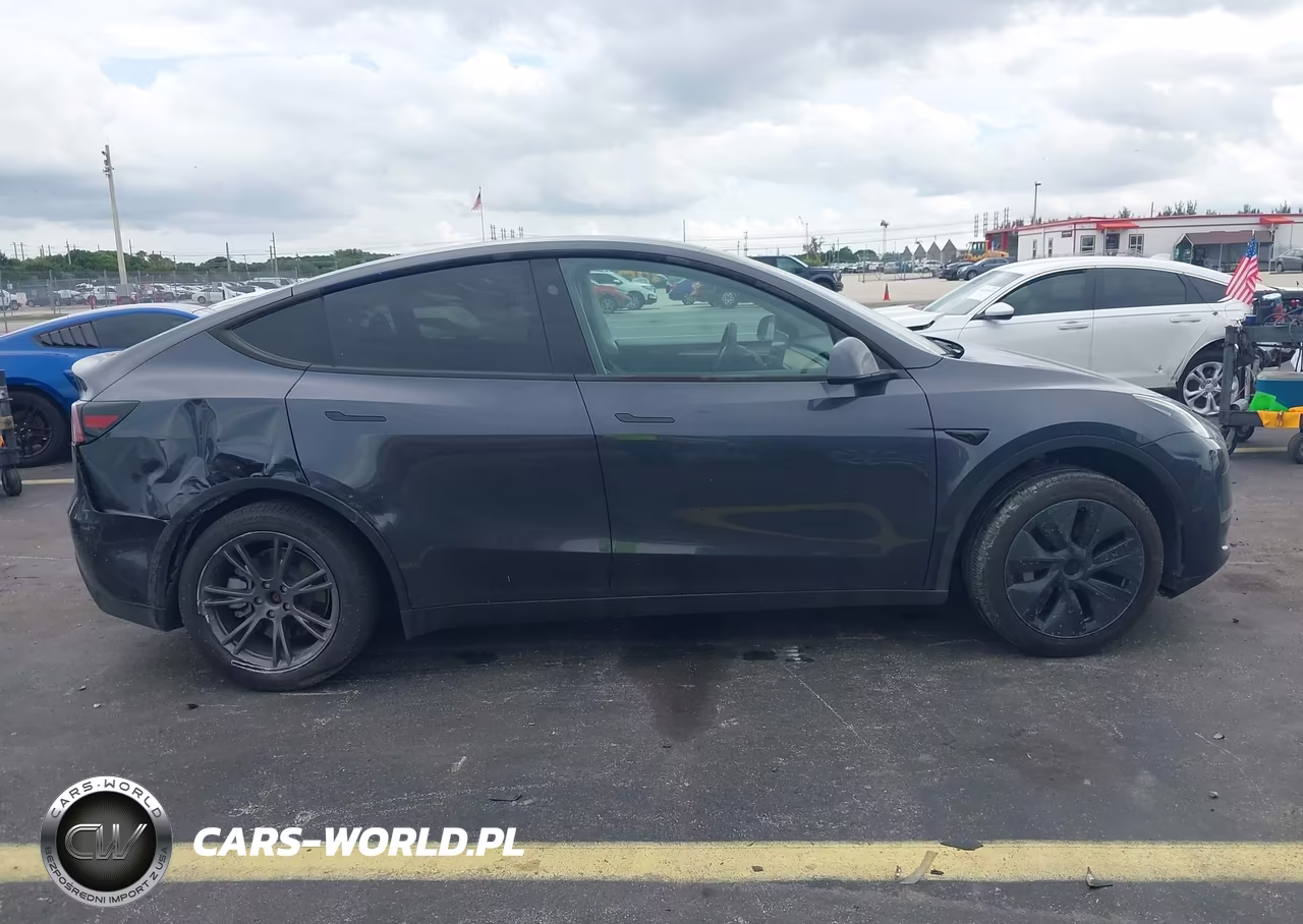 2025 Tesla Model Y Long Range Dual Motor Rear-Wheel Drive VIN:7SAYGDED3SA370803 - 12