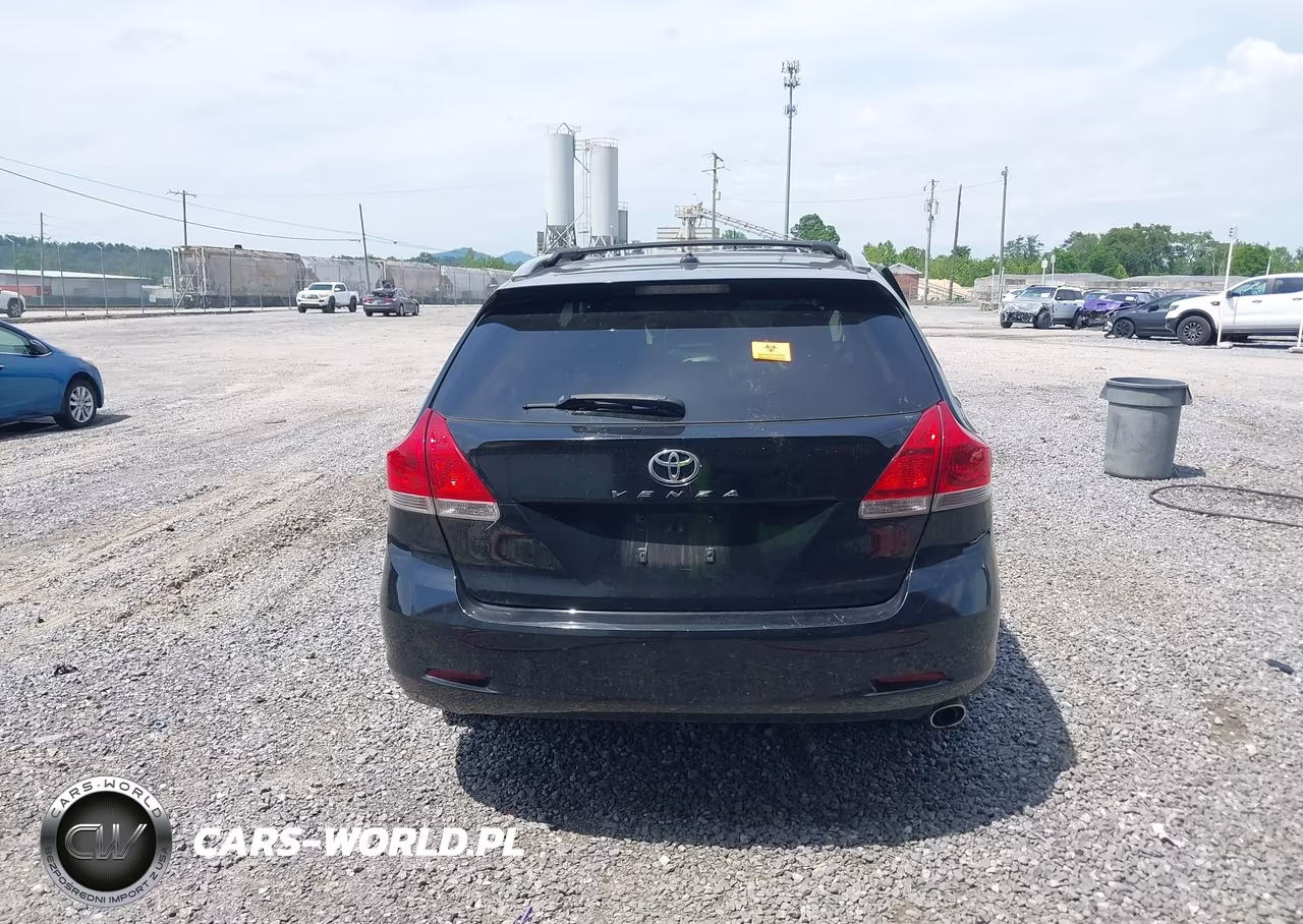 2010 Toyota Venza VIN:4T3ZA3BB4AU036596 - 16