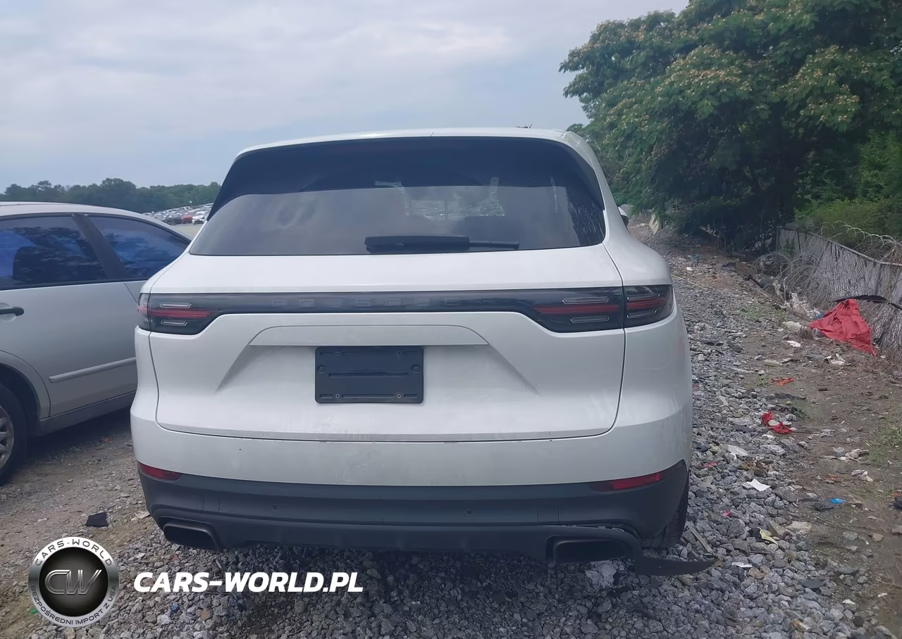 2020 Porsche Cayenne VIN:WP1AA2AY2LDA05133 - 16