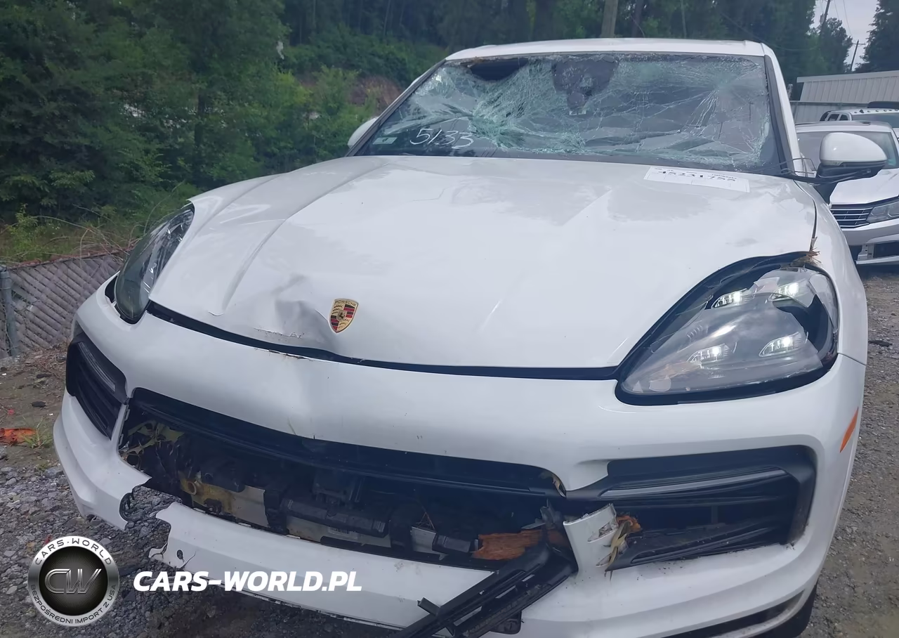 2020 Porsche Cayenne VIN:WP1AA2AY2LDA05133 - 6