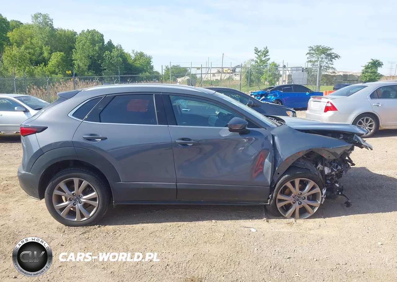 2020 Mazda Cx-30 Premium Package VIN:3MVDMBEMXLM127948 - 13