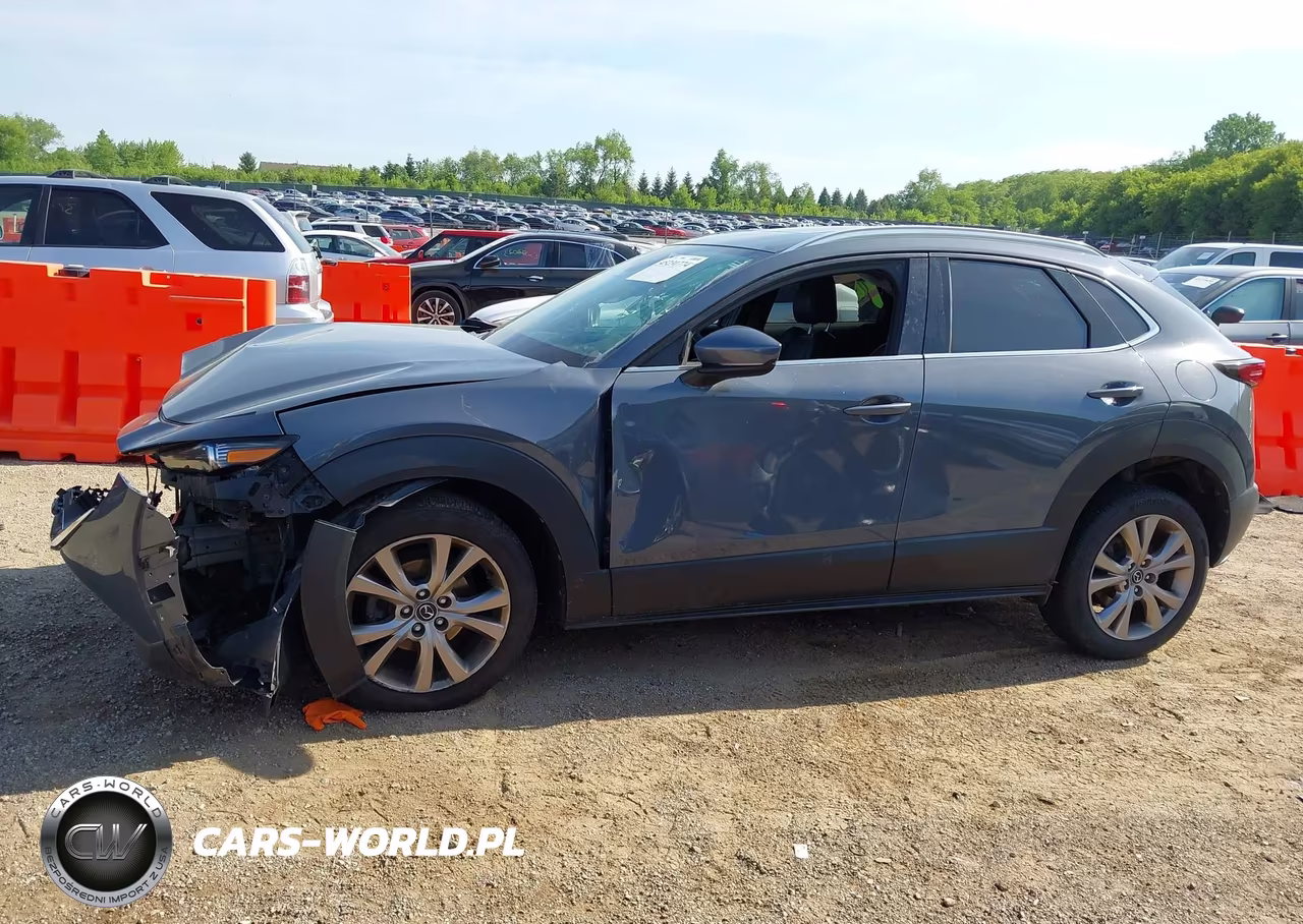 2020 Mazda Cx-30 Premium Package VIN:3MVDMBEMXLM127948 - 14