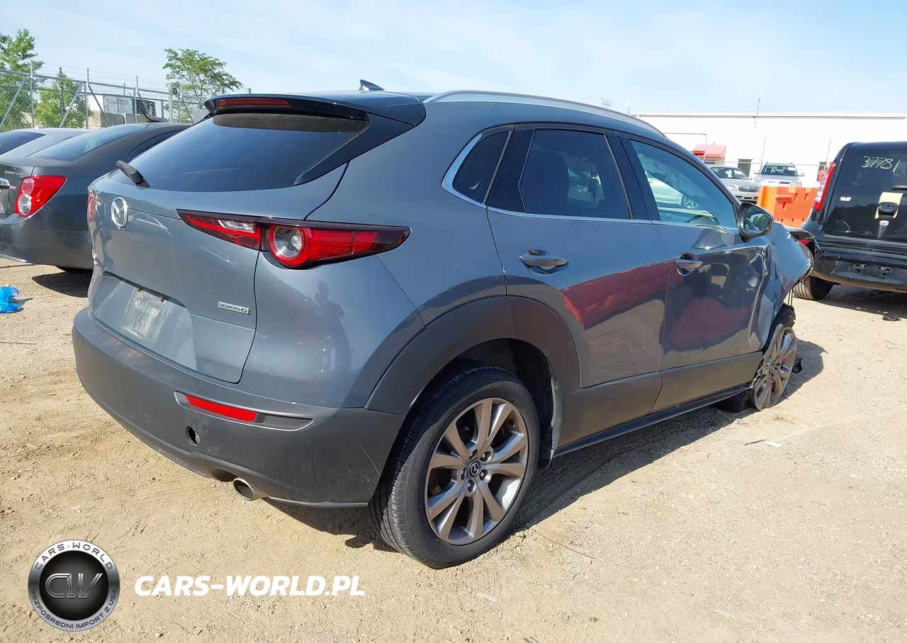 2020 Mazda Cx-30 Premium Package VIN:3MVDMBEMXLM127948 - 4