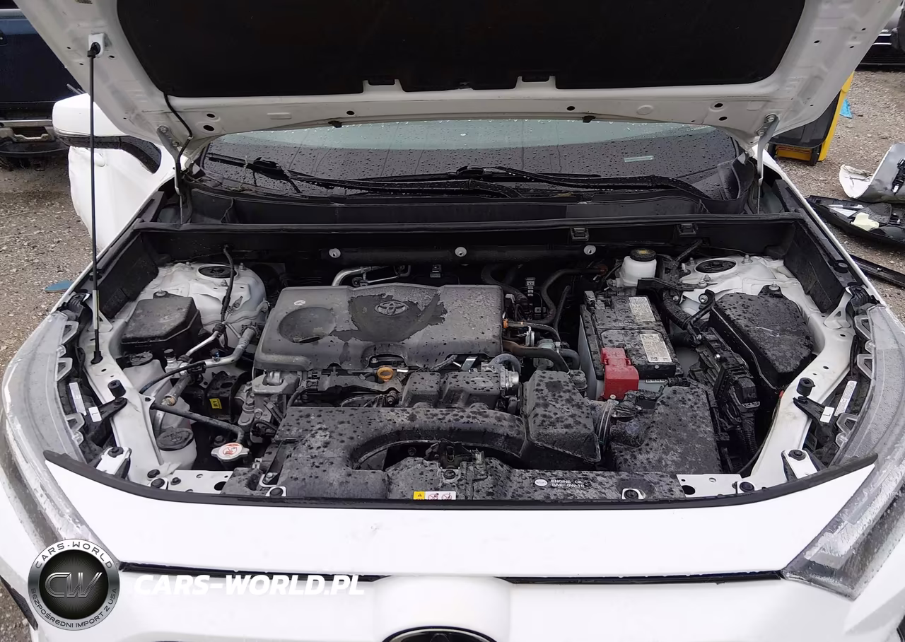 2024 Toyota Rav4 Xle VIN:2T3P1RFV1RC443531 - 10