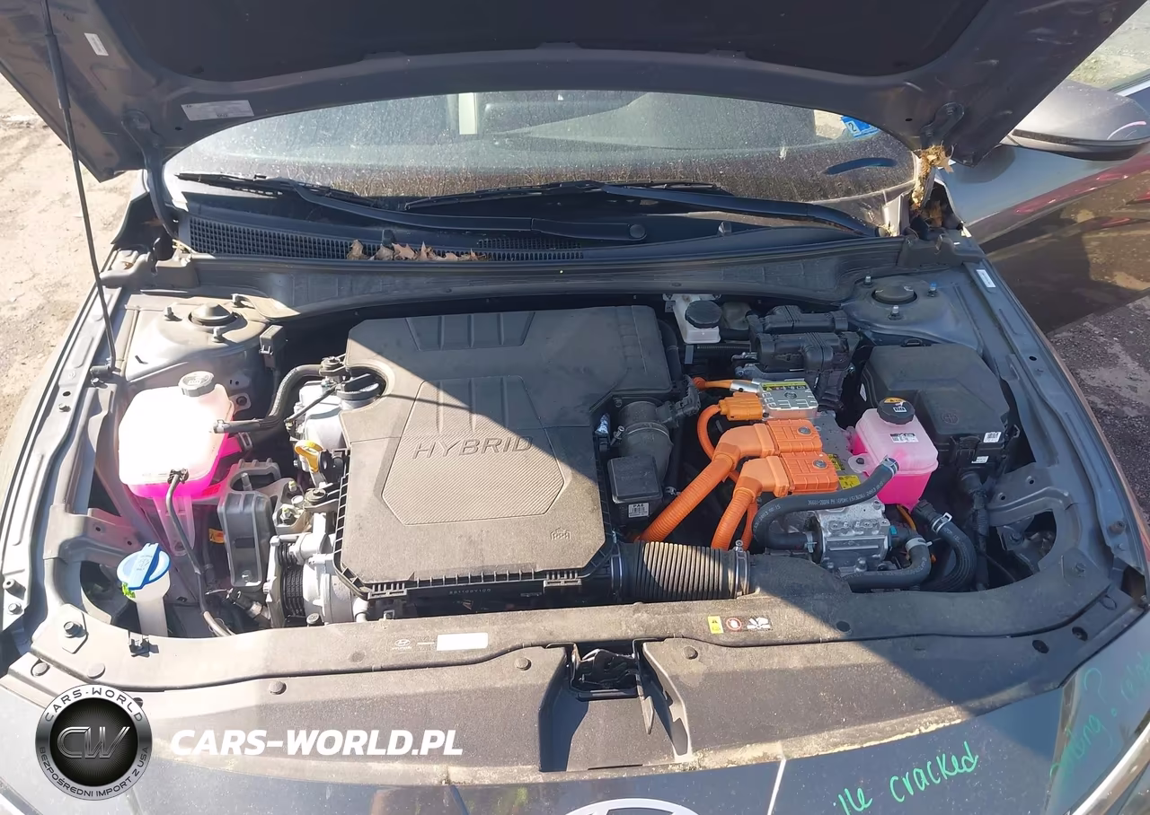 2025 Hyundai Elantra Hybrid Limited VIN:KMHLN4DJ5SU129562 - 10