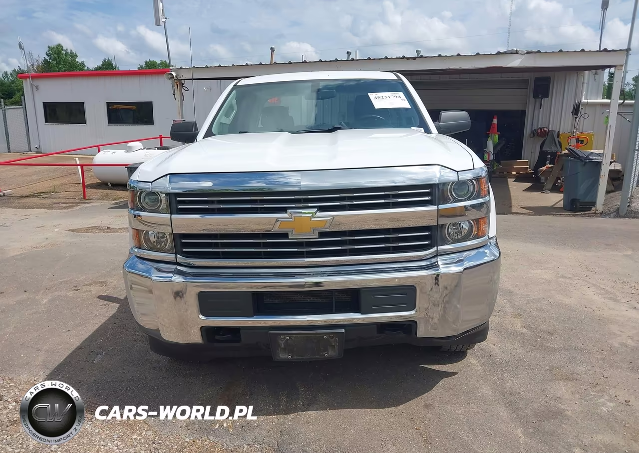 2017 Chevrolet Silverado 2500Hd Wt VIN:1GC2KUEG5HZ337173 - 17