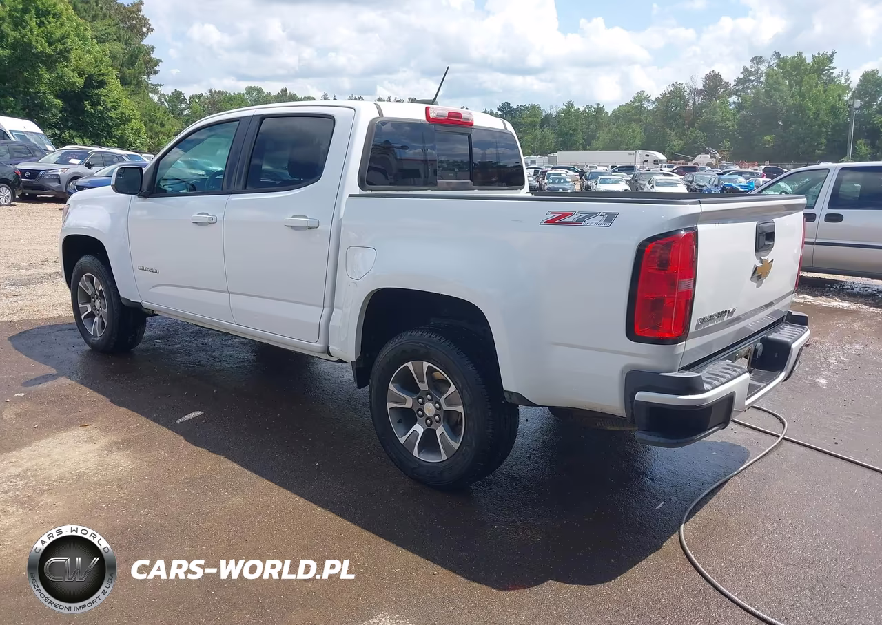 2017 Chevrolet Colorado Z71 VIN:1GCGTDEN6H1269658 - 3