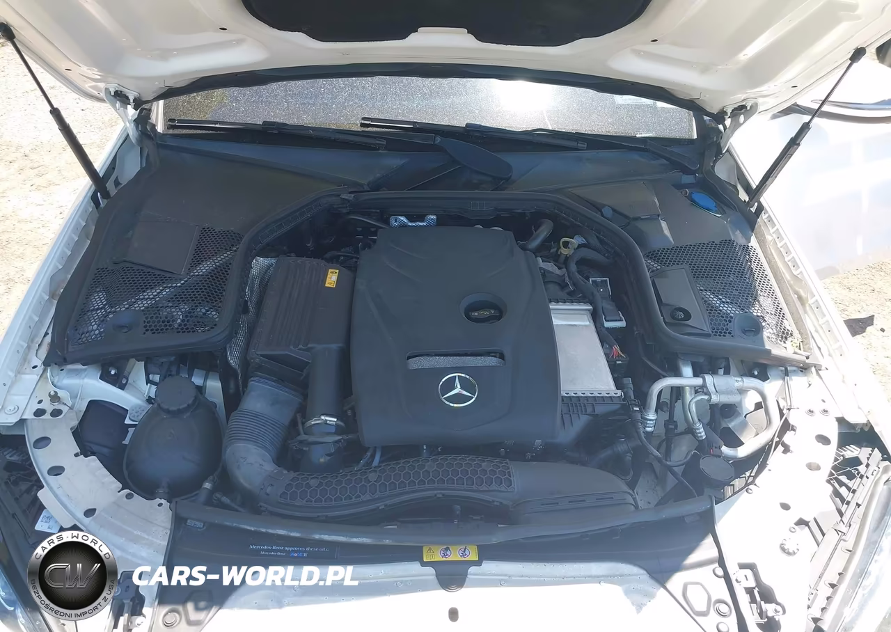 2018 Mercedes-Benz C 300 VIN:55SWF4JB1JU253796 - 10