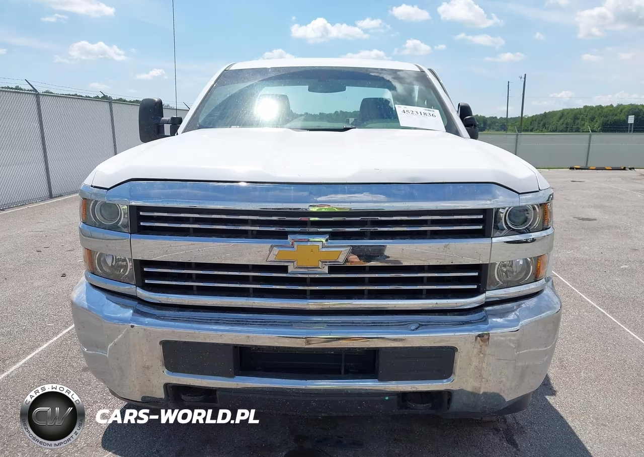 2019 Chevrolet Silverado 2500Hd Wt VIN:2GC2KREG6K1131292 - 12
