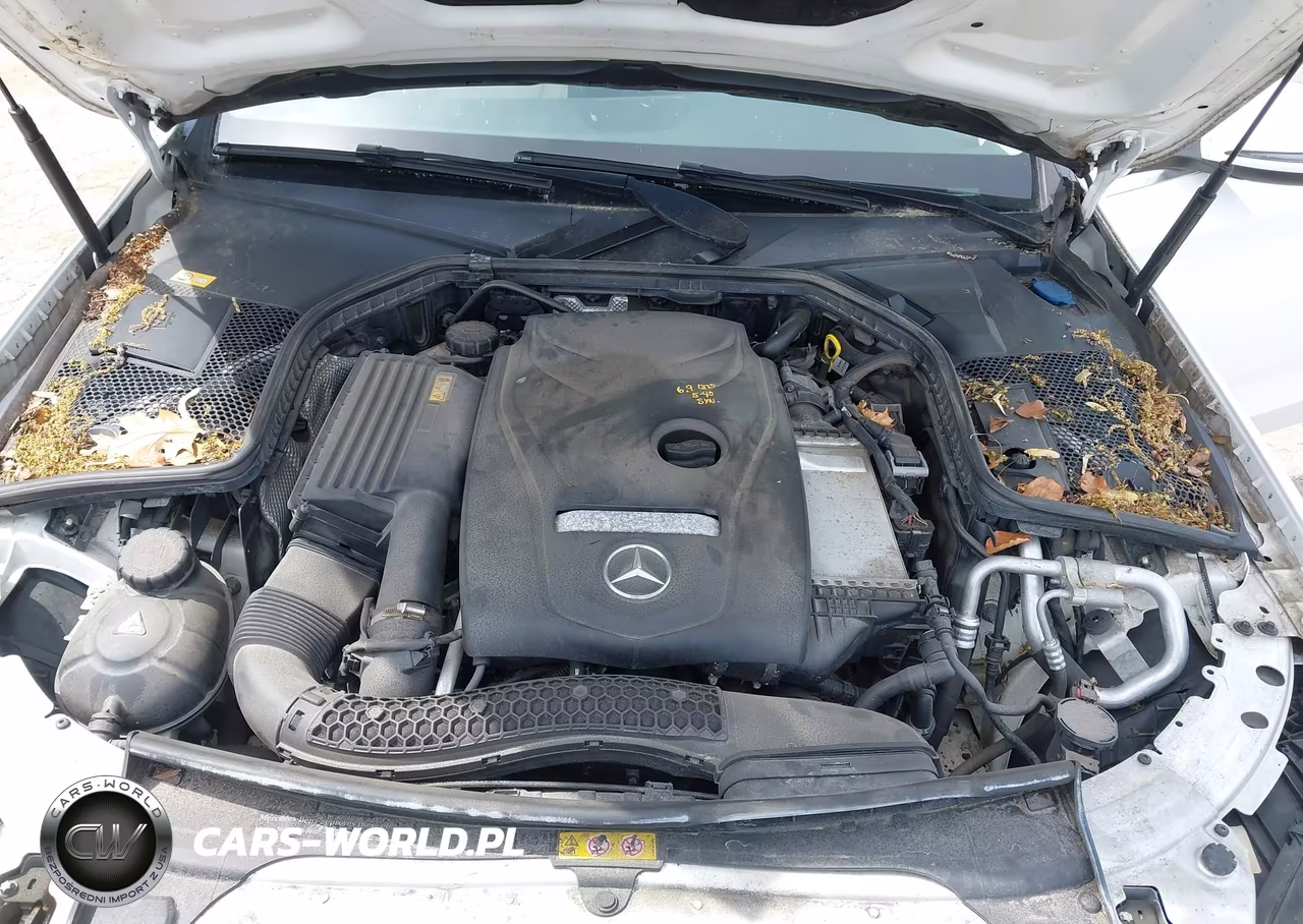 2016 Mercedes-Benz C 300 4Matic VIN:55SWF4KB3GU106189 - 10