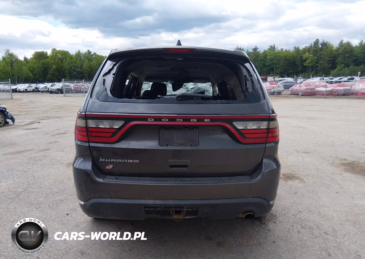 2019 Dodge Durango Sxt Awd VIN:1C4RDJAG1KC733267 - 17